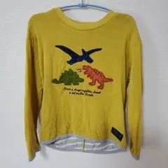 た*れ様 klädkäp 恐竜刺繍 長袖カットソー 110