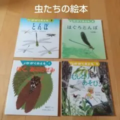 かがくのとも 雑木林の虫たちの絵本 ヤママユ カブトムシ ハンミョウ