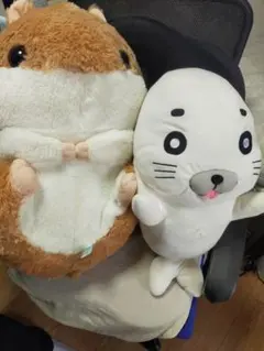 Item thumbnail for item aa772591-9ea3-486f-8b84-16f696b33ea7