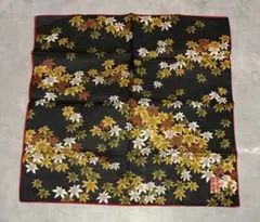 Item thumbnail for item 8cb3c362-6862-430d-b309-11f58052fbd1