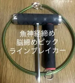 Item thumbnail for item d6a56a23-899e-4236-8630-15139fc865b8