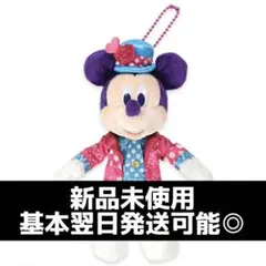 ディズニー・パルパルーザ ミニーのファンダーランド ミッキー ぬいぐるみバッジ
