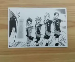 ハイキュー 10th クロニクル 思い出スナップ 烏野 ナイッサーポーズ