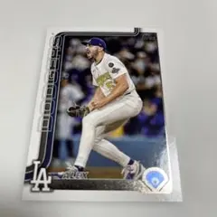 Item thumbnail for item 9c98c3fc-f855-4b25-9365-d16095cb8798