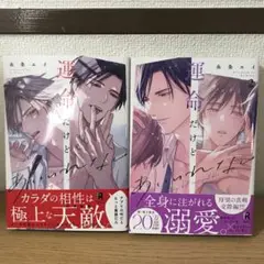 運命だけどあいいれない1.2巻セット