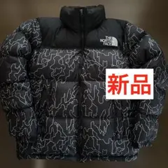 【未使用】THE NORTH FACE ヌプシダウンジャケット 限定カラー