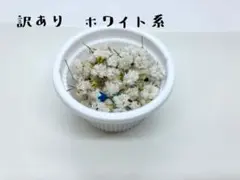 かすみ草　ハンドメイド　ドライフラワー　ホワイト　レジン