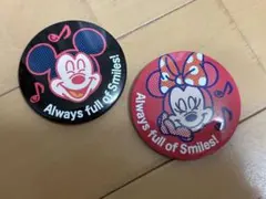 東京ディズニーリゾート ミッキー ミニー 缶バッジ 2個セット