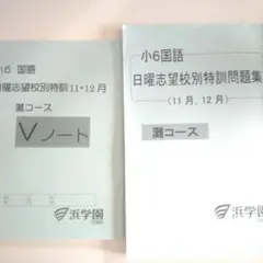 2026年最新】浜学園 小6 志望校別特訓問題集の人気アイテム - メルカリ