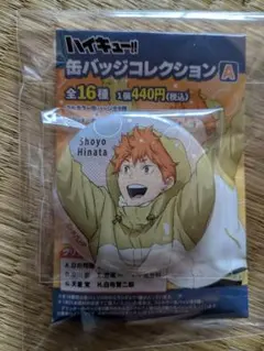 ハイキュー 缶バッジコレクション お天気版権 第一弾 日向翔陽