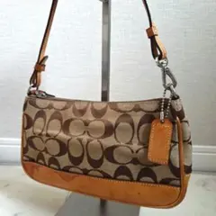 コーチ　アクセサリーポーチ ワンショルダー シグネチャーCoach　y2k