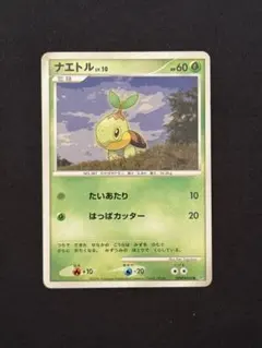 ナエトル LV.10 ポケモンカード たいあたり はっぱカッター
