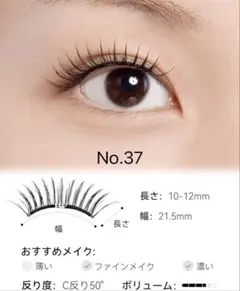 Item thumbnail for item 6b3b890c-749c-44e7-bfd9-2b4257632952