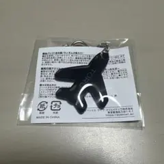 Da-iCE カプセルトイ 岩岡徹 飛行機 アクリルキーホルダー - メルカリ