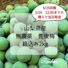 野の子様 専用 山梨県産 無農薬 豊後梅 2kg