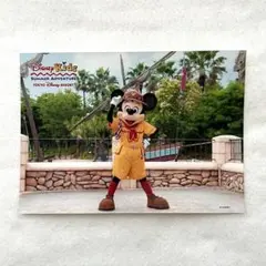 フォトファン　2Lサイズ　スペシャルフォト　スペフォ　写真　ディズニー　ミッキー