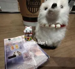 2026年最新】プラクルアン 猫の人気アイテム - メルカリ