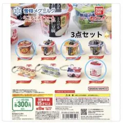 雪印メグミルク　ミニチュアチャーム　マンゴープリン　ヨーグルト　コーヒープリン