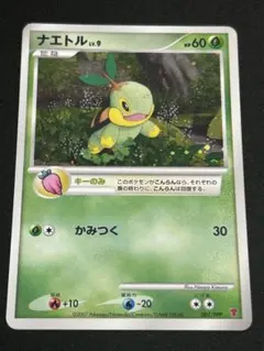 渦巻き有りナエトル PROMO PPPプロモーションカード001/DP-PPP良