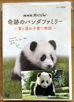 pitose46様 リクエスト 2点 まとめ商品