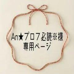An★プロフ必読※様　専用ページ