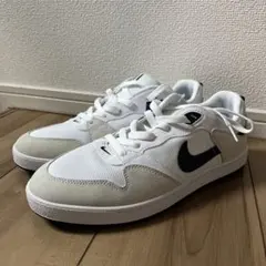 【28.0cm】Nike SB スニーカー アリウープ 人気色