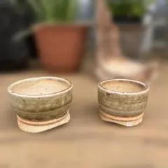 盆栽鉢 楕円形 2個セット 陶器製 - メルカリ
