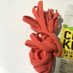 Item thumbnail for item f72d5090-f22d-4734-bc36-bc270e956fe3