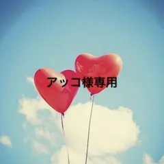 アッコ様専用・蝶バネ（ゴールド）