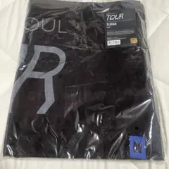 BTS MAP OF THE SOUL TOUR MOS スローガン