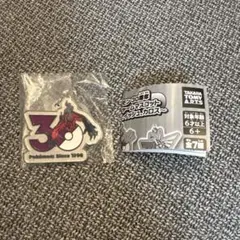 ポケモン30周年 メタルチャームマスコット イベルタル