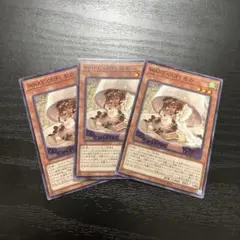 遊戯王　WAKECUP!モカ　ノーマルレア3枚【日版】