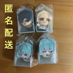 カリスマ　ますこっと　インダハウス　テラ　湊大瀬　本橋依央利