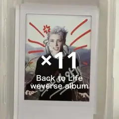 &TEAM BtL weverse album チェキ トレカ MAKI 11枚