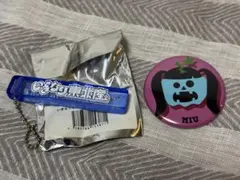 藤谷美海 みうちゃん いぎなり東北産 ホテルキー バッジ セット