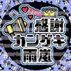 ♡嵐 感謝カンゲキ雨嵐 うちわ♡(縁水色)