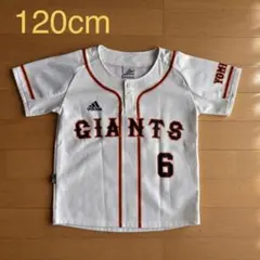 GIANTS ユニフォーム坂本 6 番 120cm