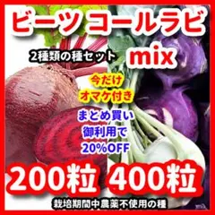 めぐみ様 リクエスト 2点 まとめ商品