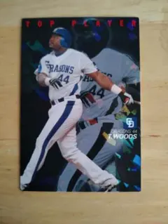 タイロン ウッズ選手　実使用　バッティンググローブ タイロン ウッズ選手 実使用 バッティンググローブ