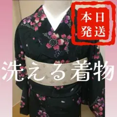 洗える着物 可愛い桜模様 雨の日でも大丈夫 24時間以内発送！激安