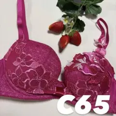 ワコール　サルート　C65 新品未使用