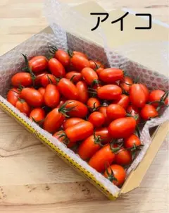 宮崎県産ひなたミニトマト　アイコ1.6キロのサムネイル
