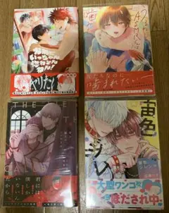 BLコミック まとめ① ❤新品購入品のみ❤️ 全15冊 BL漫画 BLコミック まとめ売り 15冊セット - メルカリ