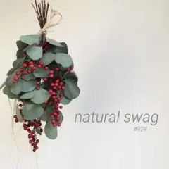 ユーカリ インテリア