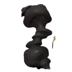 Item thumbnail for item 31676237-5230-434d-a560-68d65f6095c9