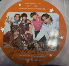 ワンエン ツアー来場者配布物　ラフォーレコラボ　配布物ONE N' ONLY