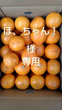 せとか10㎏(家庭用)ほ、ちゃん！様専用#1