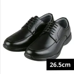 Item thumbnail for item ad80969a-8341-436f-8615-171565dd9156