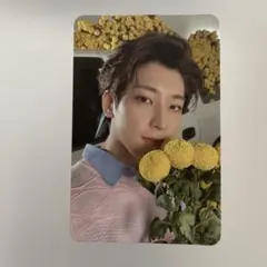 SEVENTEEN セブチ ウォヌ yourchoice