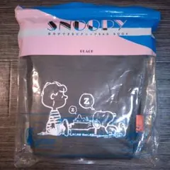 Item thumbnail for item 92714418-d07f-42c1-90a5-0eeca568eb8f